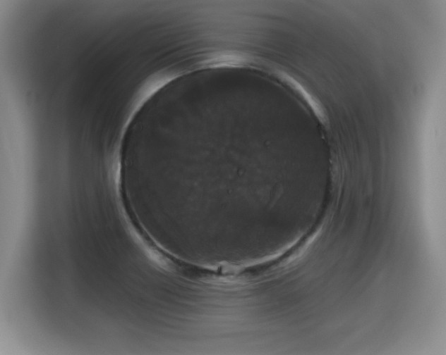 X0000115741418200911191436