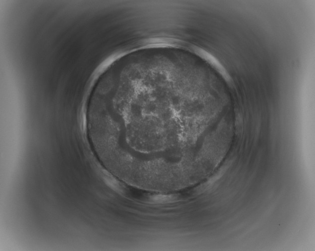 X0000115741419200911191436