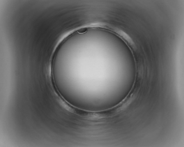 X0000115741420200911191436