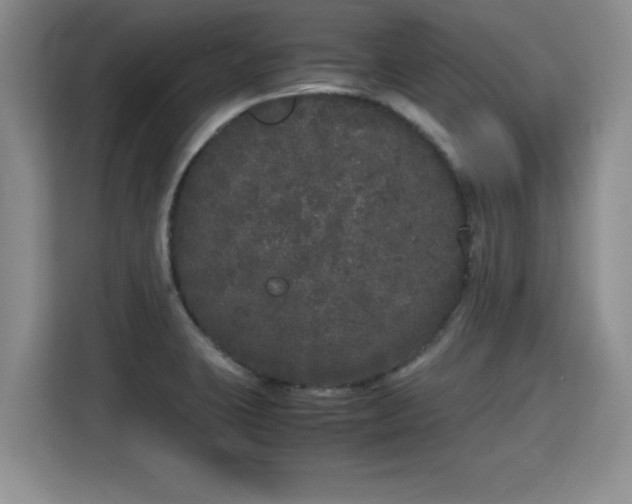 X0000115741423200911191436