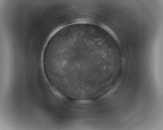 X0000115741427200911191436