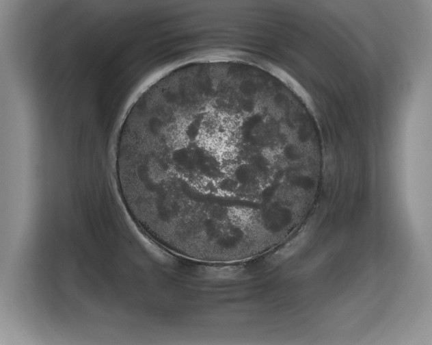 X0000115741429200911191436