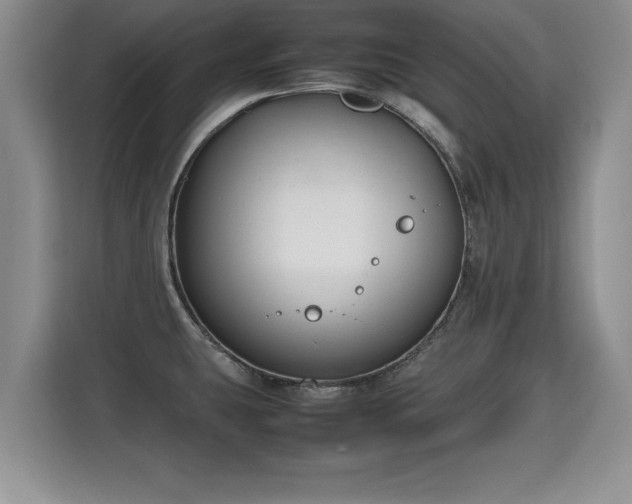 X0000115741431200911191436