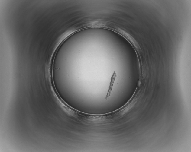 X0000115741434200911191436