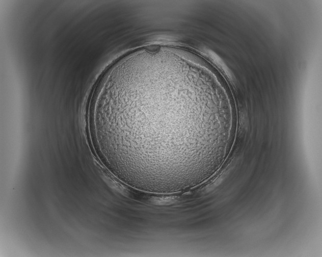 X0000115741435200911191436