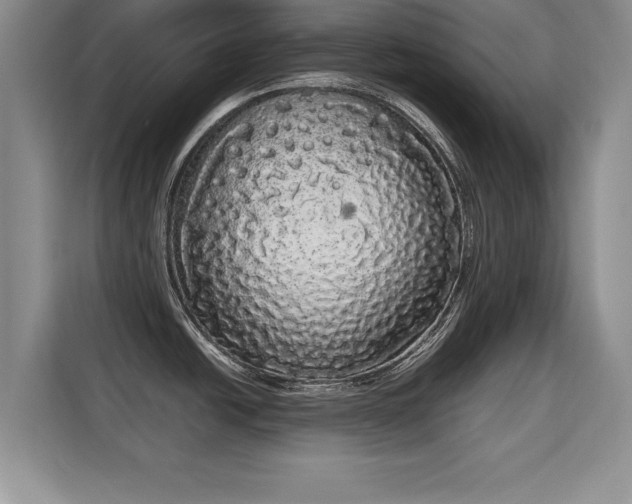 X0000115741438200911191436