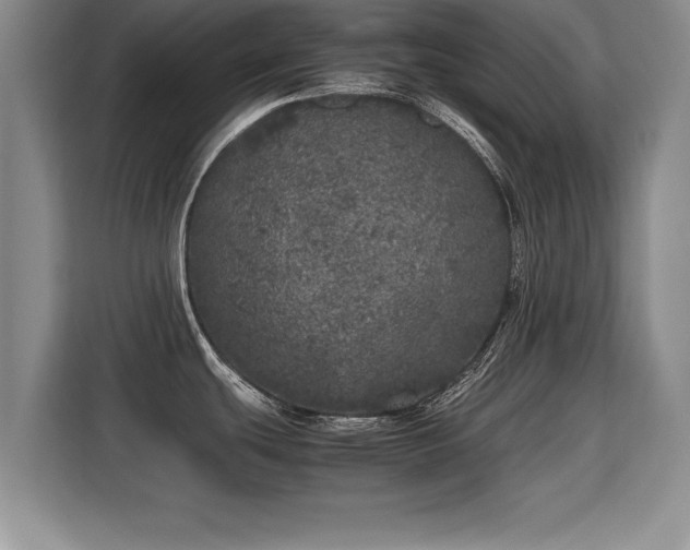 X0000115741439200911191436