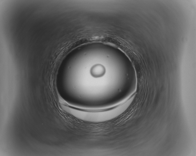 X0000115741441200911191436