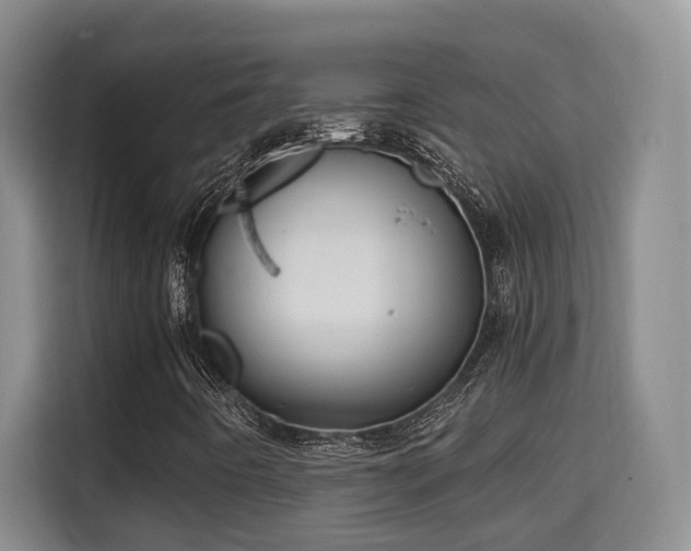 X0000115741442200911191436