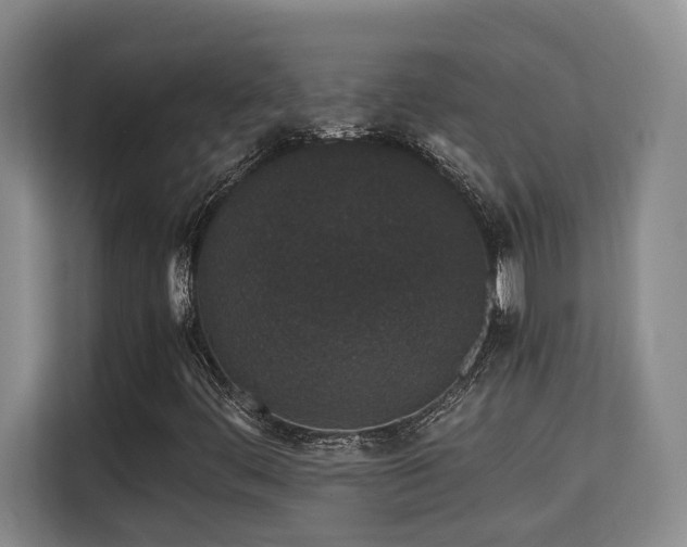 X0000115741444200911191436