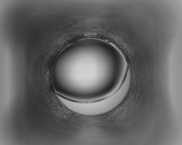 X0000115741445200911191436