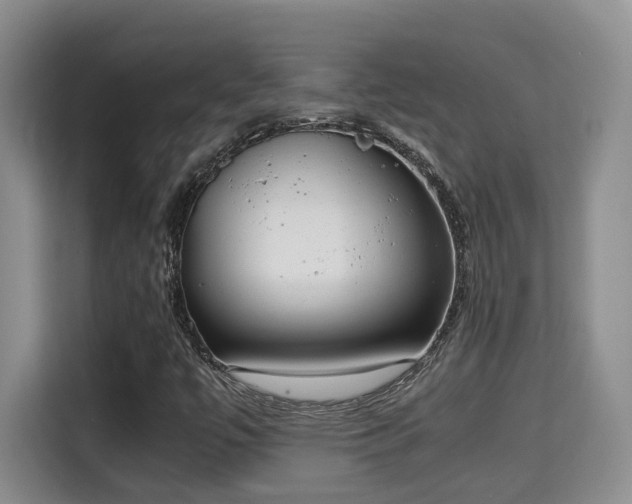 X0000115741447200911191436