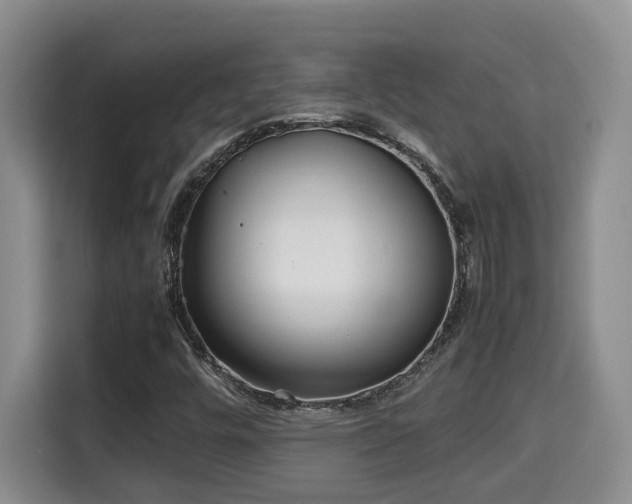 X0000115741448200911191436