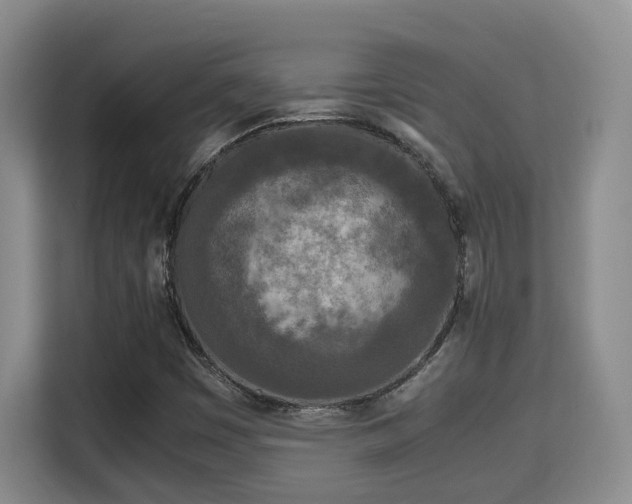 X0000115741449200911191436