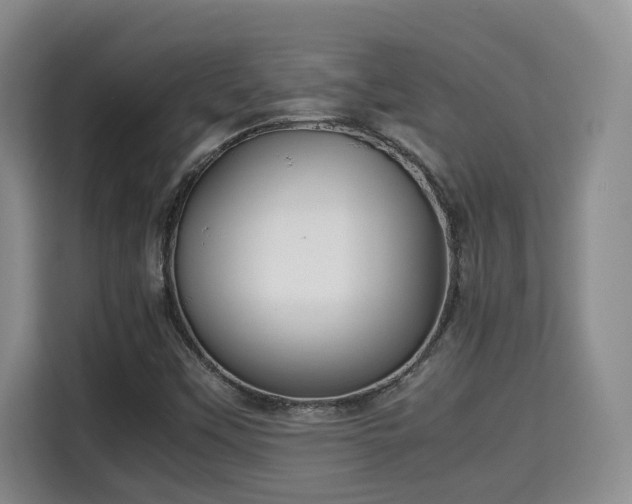 X0000115741451200911191436