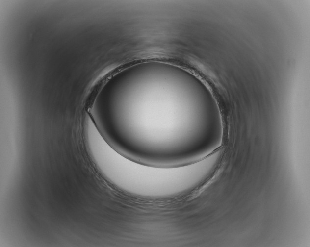 X0000115741453200911191436