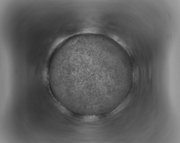 X0000115741454200911191436