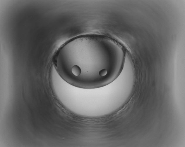 X0000115741455200911191436