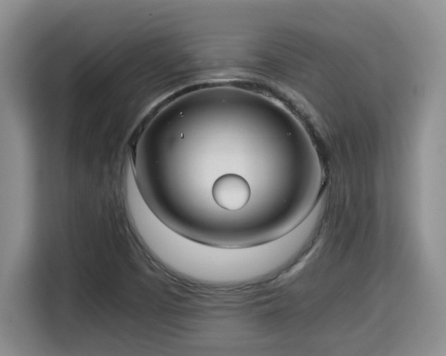 X0000115741457200911191435