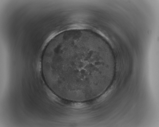 X0000115741459200911191435