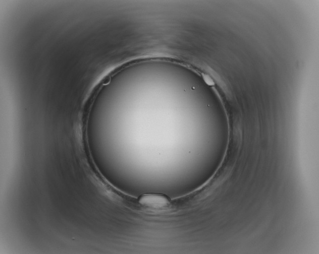 X0000115741460200911191435