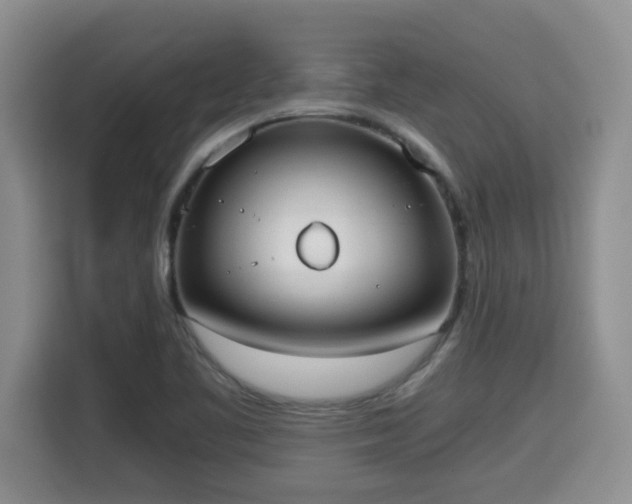 X0000115741461200911191435