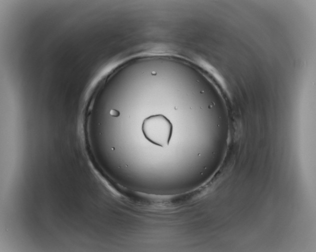 X0000115741464200911191435