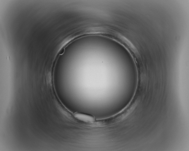 X0000115741465200911191435