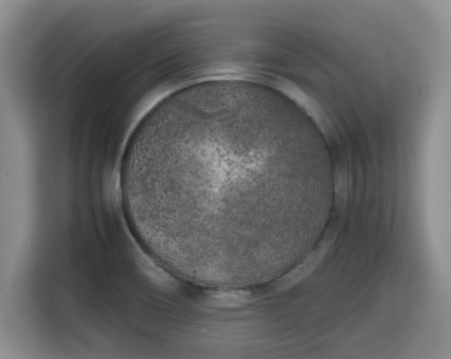 X0000115741466200911191435