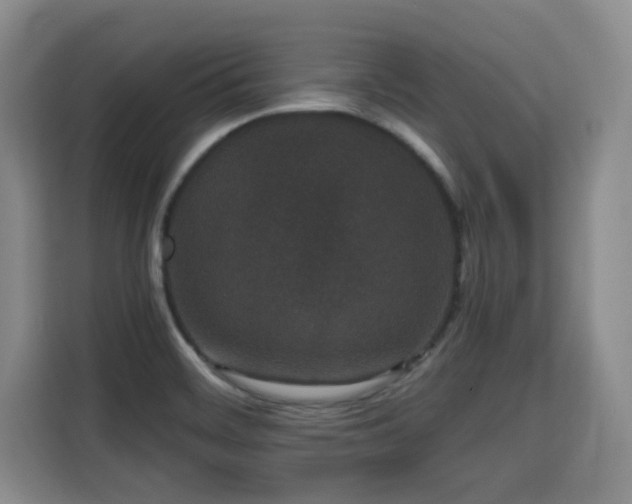 X0000115741468200911191435