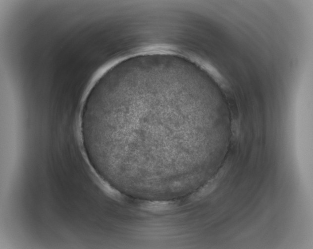 X0000115741470200911191435