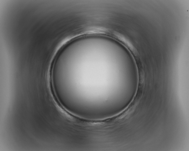 X0000115741471200911191435