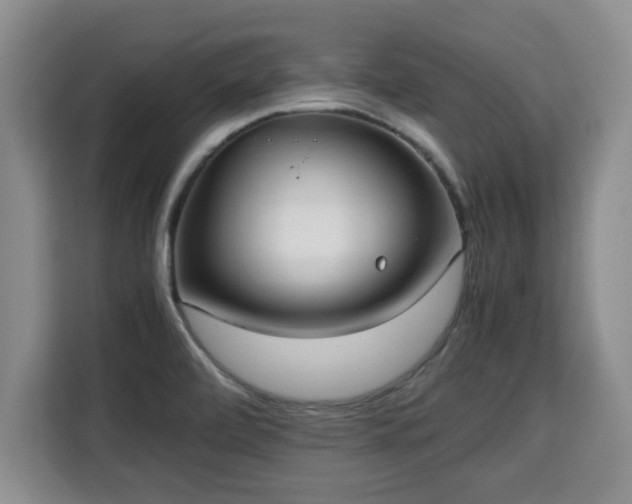 X0000115741472200911191435