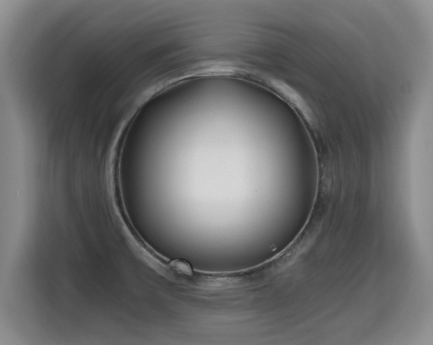 X0000115741475200911191435