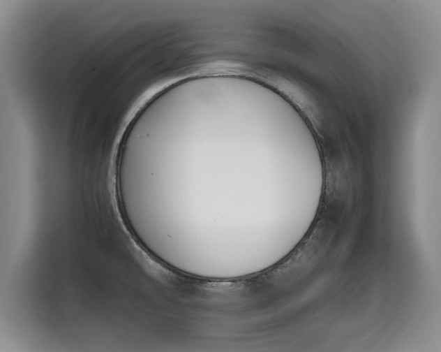 X0000115741478200911191435