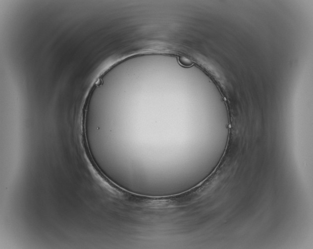 X0000115741479200911191435