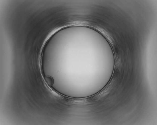 X0000115741486200911191435