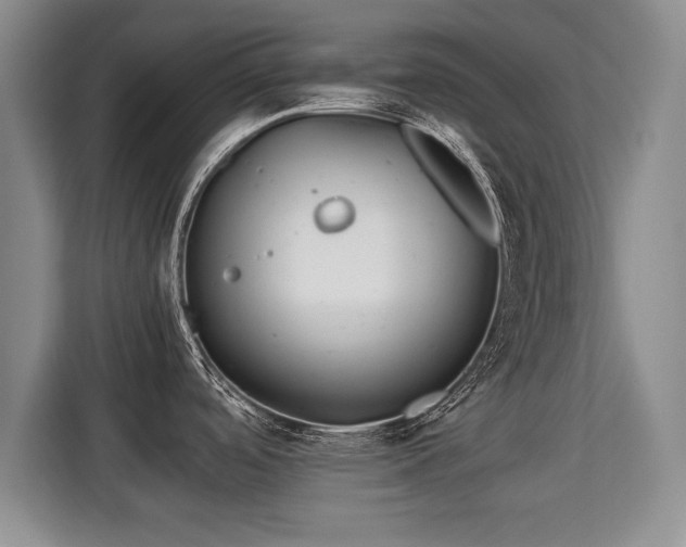 X0000115741488200911191435