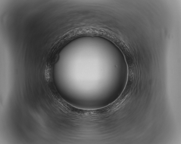 X0000115741490200911191434