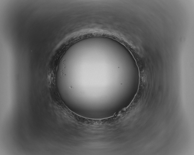 X0000115741495200911191435