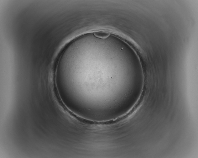 X0000115741506200911191435