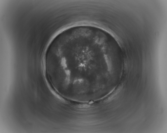 X0000115741515200911191435