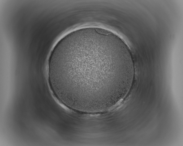 X0000115741519200911191435