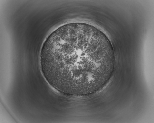 X0000115741525200911191435