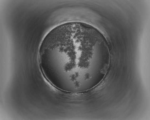 X0000115741527200911191435