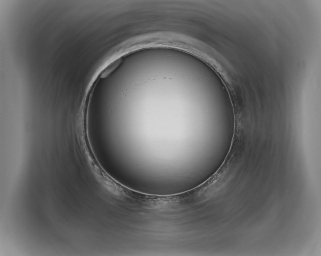 X0000115741530200911191435