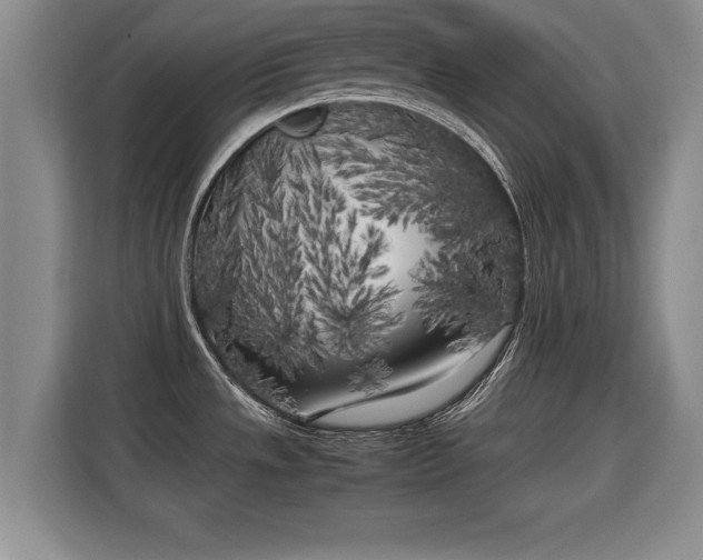 X0000115741533200911191435