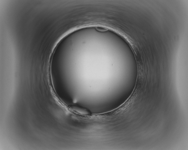 X0000115741534200911191435