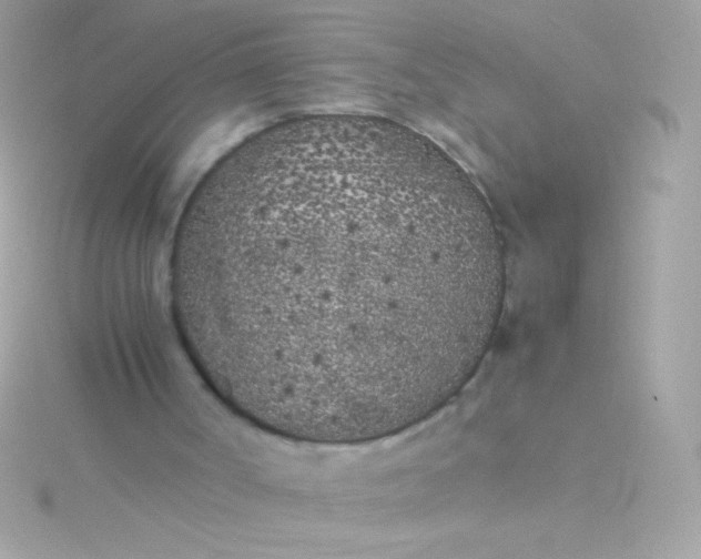 X0000115740002200911252009