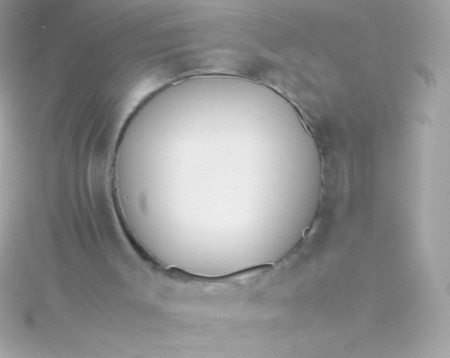 X0000115740003200911252009